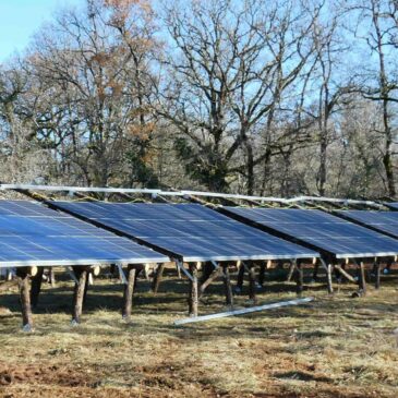 Est-il encore raisonnable d&rsquo;investir dans les énergies renouvelables ?